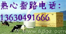 ���Ǣ̸QQ��756268961