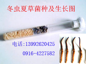 ��ҵ�¸�Ҫ��Ч�� ���������������Ĳ�