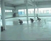 ������ƺ����ƽ13915010605