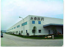 河南省永春医药科技有限公司
