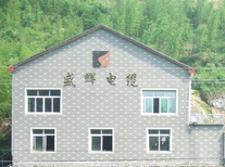 临安盛辉电缆厂