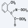 (E)-2-(2'-甲基苯基)-2-羰基乙酸甲酯-O-甲基酮肟