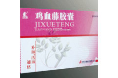 产品介绍    鸡血藤胶囊   产品分类: 医药