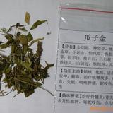 医药,保养 植物原药材供应商,河北各地 医药,保养 原