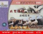 ����㲥���Ӵ�ѧ����VCD���̡���������Ѽ��ֳ����