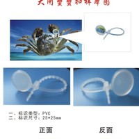��Ӧ���ڴ�բз��α��ָ