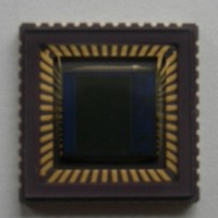 OV2659�չ�OV9740����OV9714��