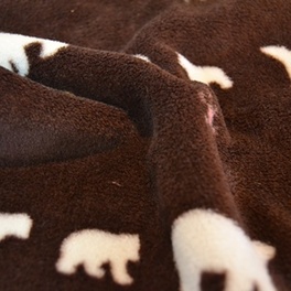 China Coral Fleece - China Supplier