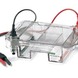 Wide Mini-Sub Cell GT Cell ����Bio-rad��С��ˮƽ��Ӿ�� Wide Mini-Sub Cell GT Cell ����Bio-rad��С��ˮƽ��Ӿ��