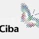 �����Ӿ۱�ϩ��... �����Ӿ۱�ϩ����(CPMA)