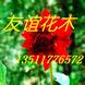 ��ҶС�ޡ���Ҷ... ��ҶС�ޡ���ҶŮ�ꡢ����ء��컨��ľ����Ҷ�����������Ҷ�ҡ���㡢����ľ