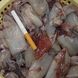 ����С����ʹ�... ����С����ʹ�������squid