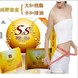 SSȼ֬���ͽ��� SSȼ֬���ͽ���