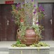 �人���裬��ɰ... �人���裬��ɰ���裬԰�ֻ���