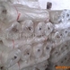 ��Ӧ�м����... ��Ӧ�м����ά��04��018��014��012