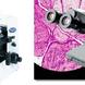 �ձ�OLYMPUS���ְ�˹CX31˫Ŀ������΢��CX31-12C04/CX31-32C02/CX31-72C02 �ձ�OLYMPUS���ְ�˹CX31˫Ŀ������΢��CX31-12C04/CX31-32C02/CX31-72C02