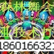 ɭ������Ӯ��... ɭ������Ӯ�����ؼ�