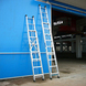���� ����