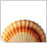 ���ƴ�����R2��... ���ƴ�����R2��֬Shell Darina R2 Grease(�͸���������֬��