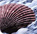 ��������ʿGL��... ��������ʿGL��ʽ�����󻬼�Shell Malleus GL
