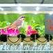 �½�������ʾ��... �½�������ʾ��LED��ʾ����³ľ�������ʾ��