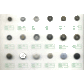 ����Ŧ�� ����Ŧ��