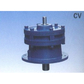 CV CV