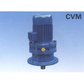 CVM CVM