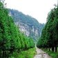 �ʰ� �ʰ�