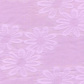 �Ứ �Ứ