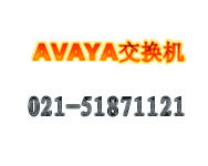 AVAYA�̿ص绰������