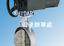̨������綯���ͷ�  SHIDAR