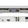 �޹����ǵ�������