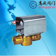 ����ʽ�綯��