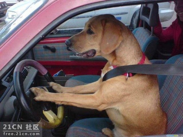 ʲô�����ֻ�...