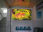LED��ʾ��