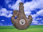 �ɹ���������...