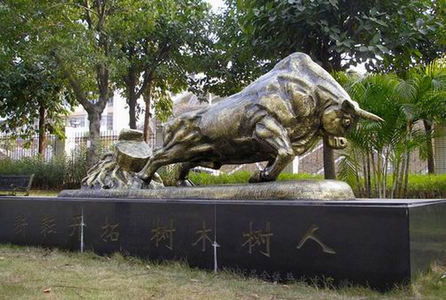 拓荒牛 牛(图) 供应商,广东拓荒牛 牛(图) 生产商