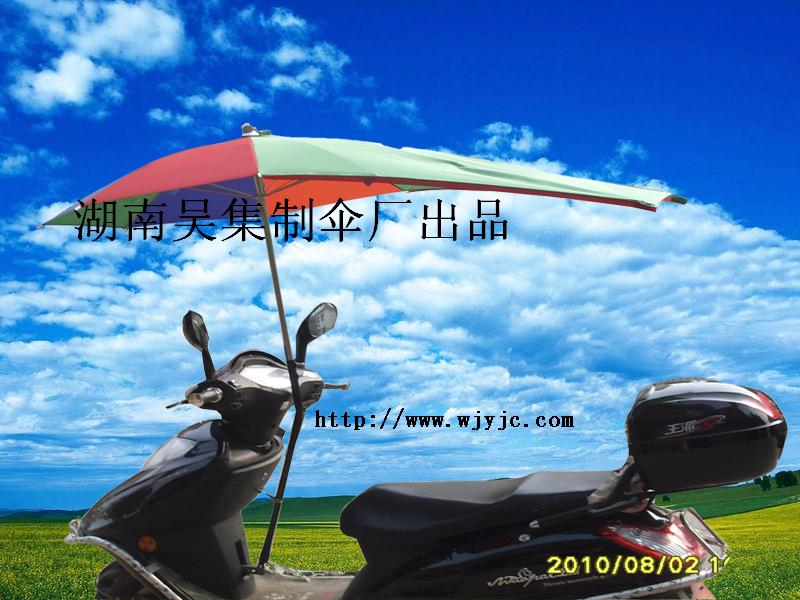 电动双轮踏板车图片
