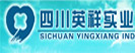�Ĵ�Ӣ��