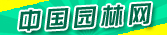 �й�԰����ľ��