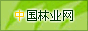 �й���ҵ��