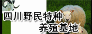 �Ĵ�Ұ��������ֳ����