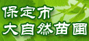 �ӱ�ʡ�����д���Ȼ��ľ����