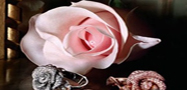 Dior Rose����ϵ���鱦����