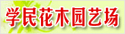ѧ��ľ԰�ճ�