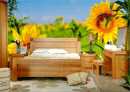 5���Ҿ�ҵ����Խ���� ��Ϊ�й���һ���ҵ