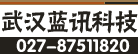 武汉蓝讯科技有限公司