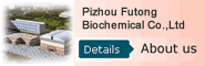 ginkgo biloba extract