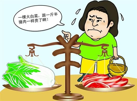 一棵白菜顶一斤半猪肉 菜价缘何又"疯涨"